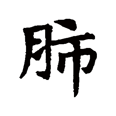 肺 肺