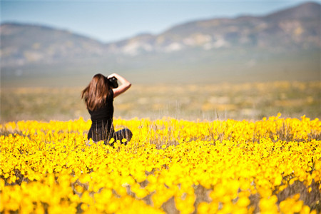 炳字在后面取名女孩名字