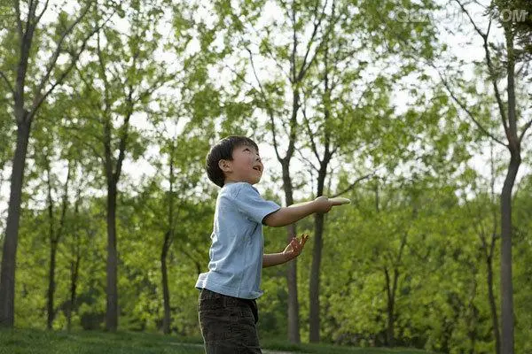 姓蔡叫什么名字好 姓蔡的男孩冷门独特的名字