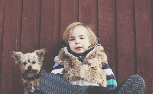 蒋姓取名最好的五行搭配